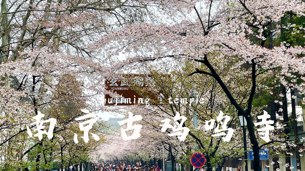 小铁寄存柜驻樱花大道 为鸡鸣寺添便民暖意