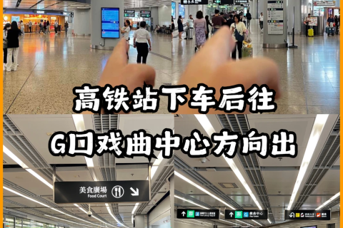 香港西九龙戏曲中心存包攻略！附路线