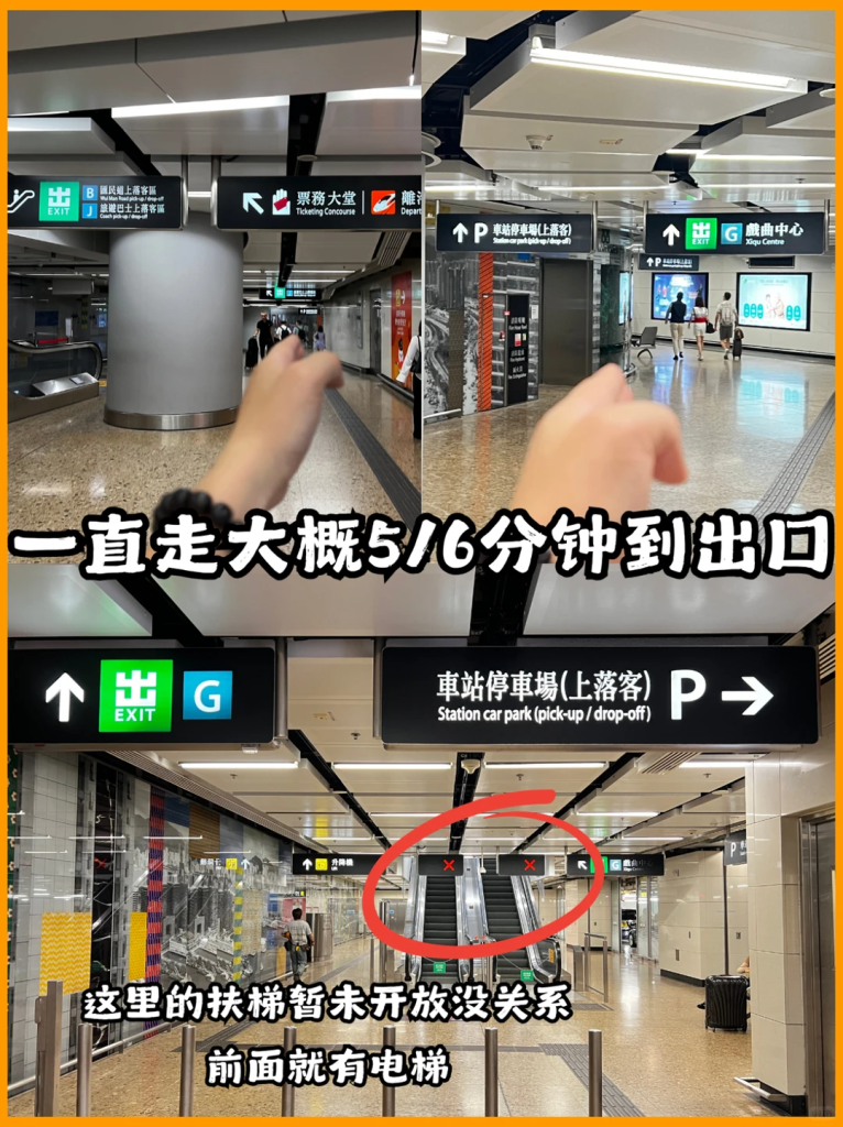 香港西九龙戏曲中心存包攻略！附路线